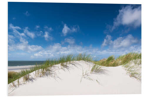 Foam board print Dunes in the summer wind