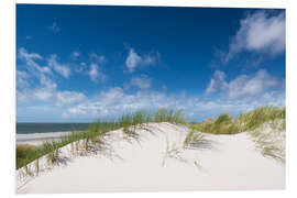 Foam board print Dunes in the summer wind