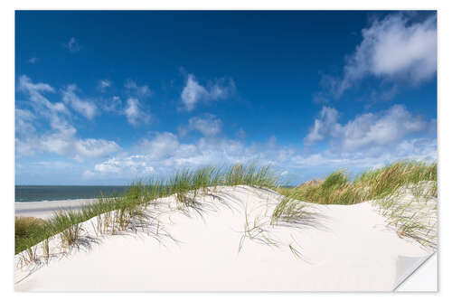 Selvklebende plakat Dunes in the summer wind