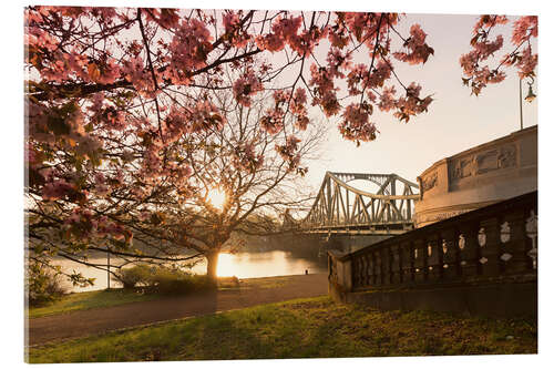 Akryylilasitaulu Glienicke bridge early in the spring