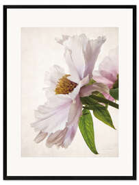 Plakat artystyczny premium w ramie Delicate peony IV