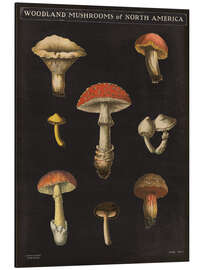 Aluminiumtavla Mushroom Card II