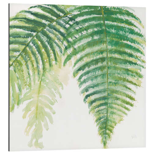 Aluminium print Fern leaves III