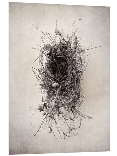 Foam board print Bird's nest II