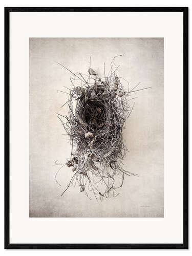 Inramat konsttryck Bird's nest II
