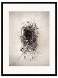 Inramat konsttryck Bird's nest II