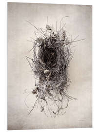 Gallery print Bird&#039;s nest II