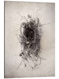 Magnettafel Vogelnest II