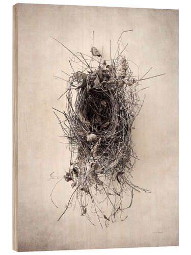 Wood print Bird's nest II