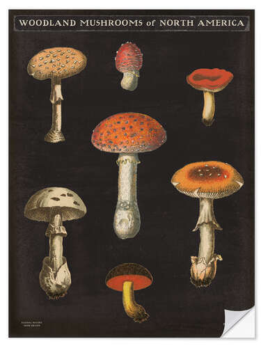 Vinilo para la pared Mushroom Card III