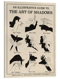 Gallery print The Art of Shadows