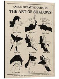 Magnettafel Die Kunst der Schattenspiele X (Englisch)