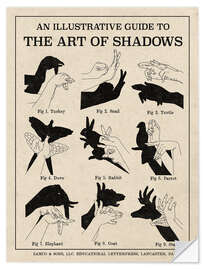 Selvklæbende plakat The Art of Shadows X