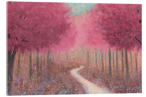 Acrylic print Forest path in spring