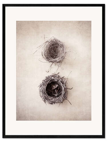 Inramat konsttryck Bird's Nest IV