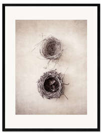 Inramat konsttryck Bird's Nest IV