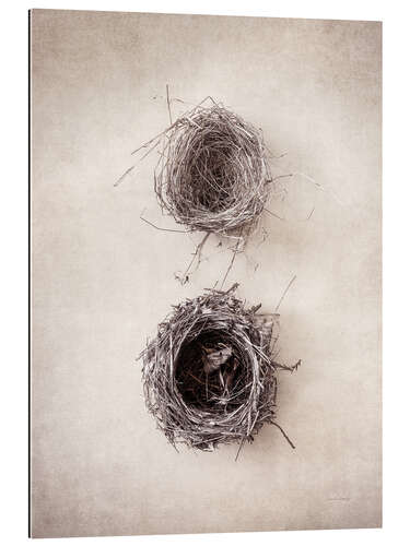 Gallery print Bird's Nest IV