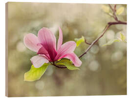 Wood print Pink Magnolia