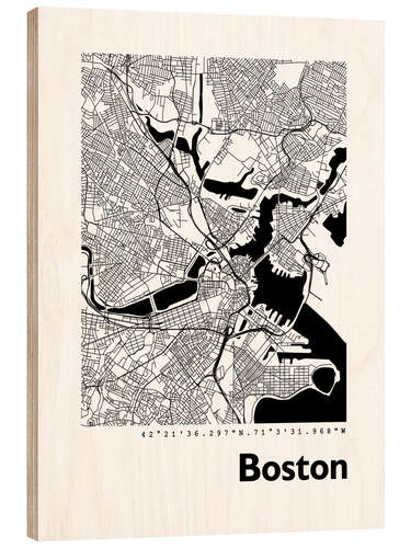 Hout print City map of Boston