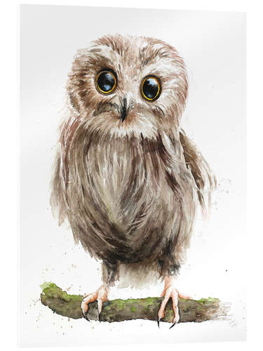 Acrylglas print baby owl