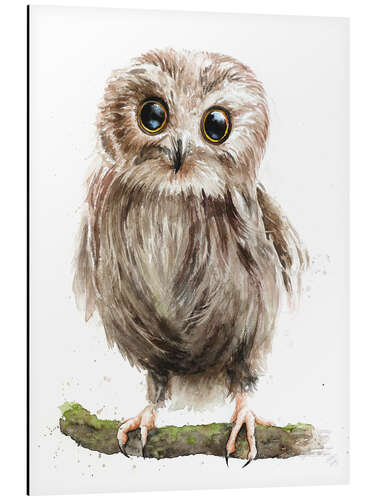 Aluminium print baby owl