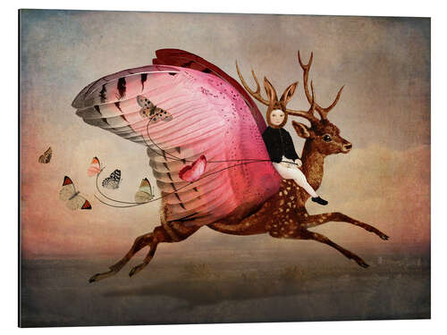 Stampa su alluminio Enjoy the ride