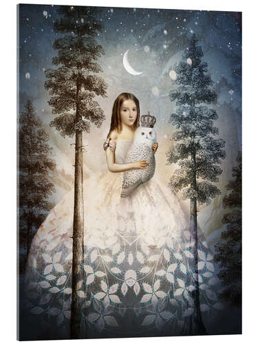 Akryylilasitaulu Girl with the owl