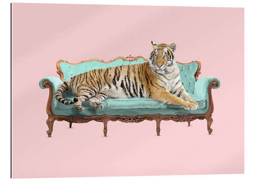 Gallery print Lazy Tiger