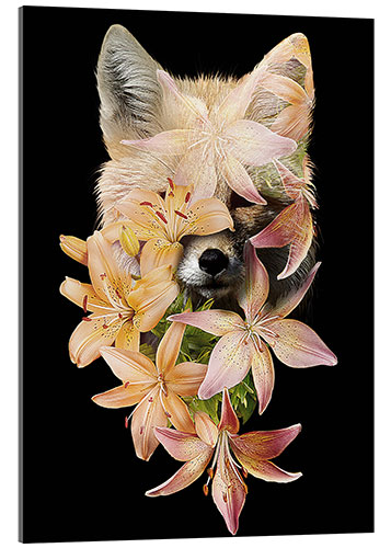 Acrylic print Fox and lilies