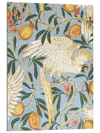 Gallery print Cockatoo and Pomegranate