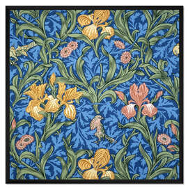 Gerahmter Kunstdruck Iris