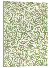 Gallery print Willow