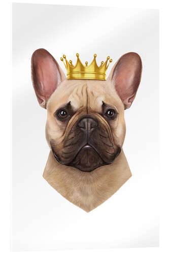 Acrylic print King French Bulldog