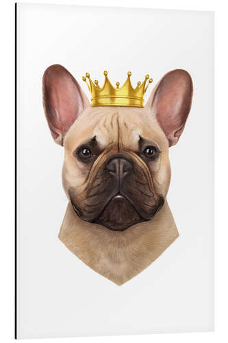 Alubild King French Bulldog