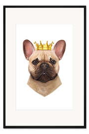 Gerahmter Kunstdruck King French Bulldog