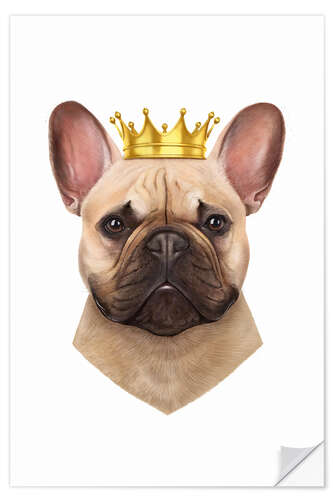 Naklejka na ścianę King French Bulldog