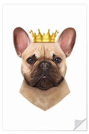 Naklejka na ścianę King French Bulldog