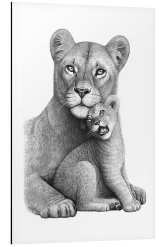 Aluminiumtavla Lioness with her boy