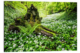 Quadro em alumínio Fairy Forest with wild garlic