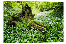 PVC-tavla Fairy Forest with wild garlic