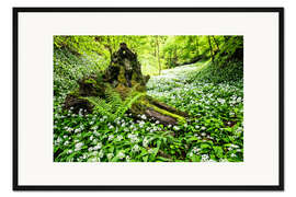Gerahmter Kunstdruck Zauberwald mit Bärlauch