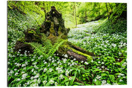 Gallery print Fairy Forest with wild garlic