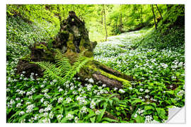 Vinilo para la pared Fairy Forest with wild garlic