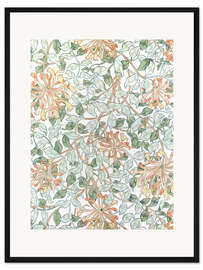 Gerahmter Kunstdruck Geißblatt II