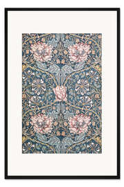 Gerahmter Kunstdruck Geißblatt