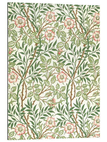 Gallery print Sweet Briar