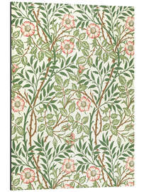 Magnettafel Süßer Dornenbusch