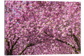 Galleriprint Cherry Blossom