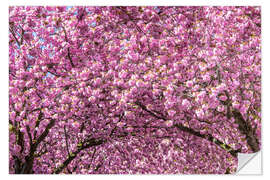 Sisustustarra Cherry Blossom