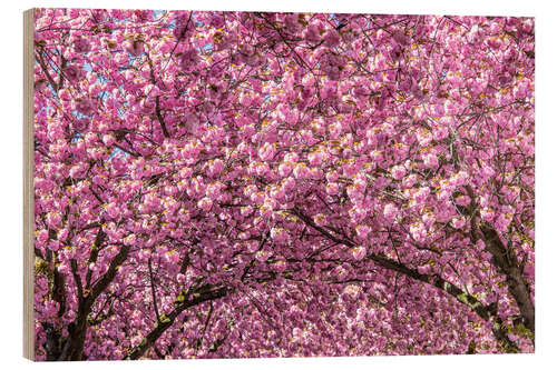 Holzbild Kirschblüte